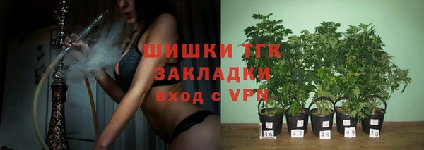 дживик Тихвин